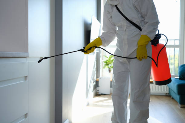 Best Mold Cleaning Services  in Bayou Vista, TX